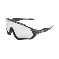Black/Silver