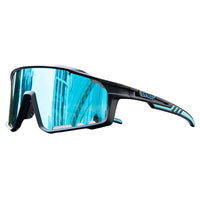 Black/Blue