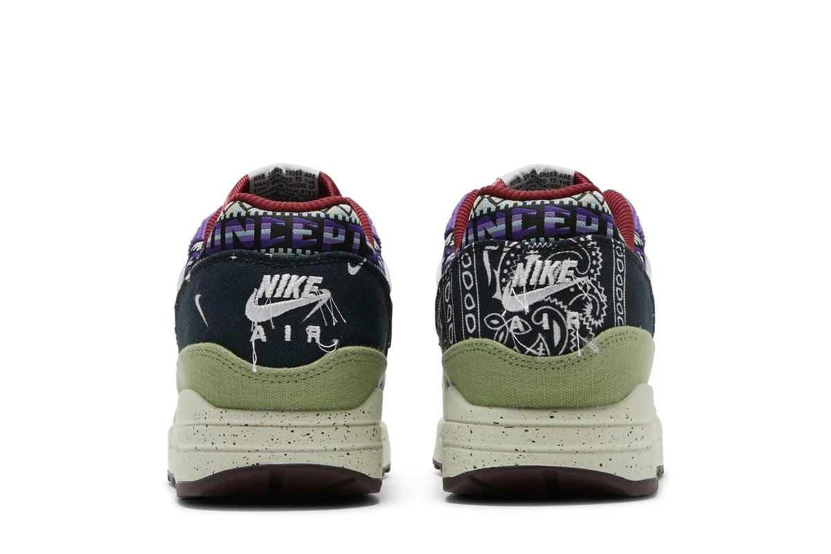 Concepts x Air Max 1 SP Mellow Colorful